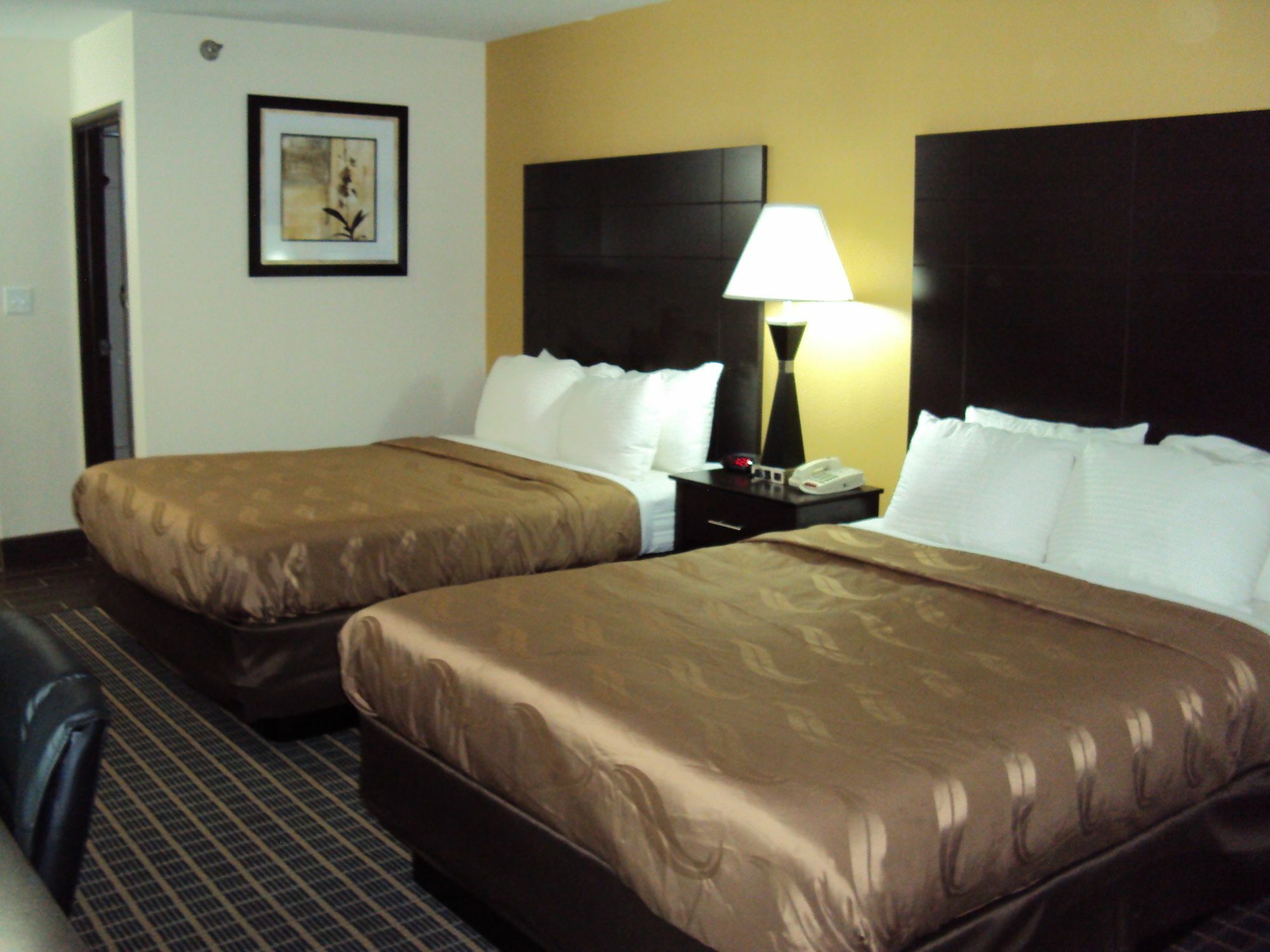 Quality Inn Carbondale University Area Exteriör bild